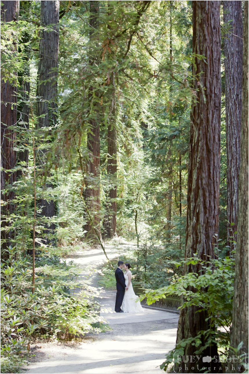 k + j wed in a redwood forest! bodega bay, california. {creative ...